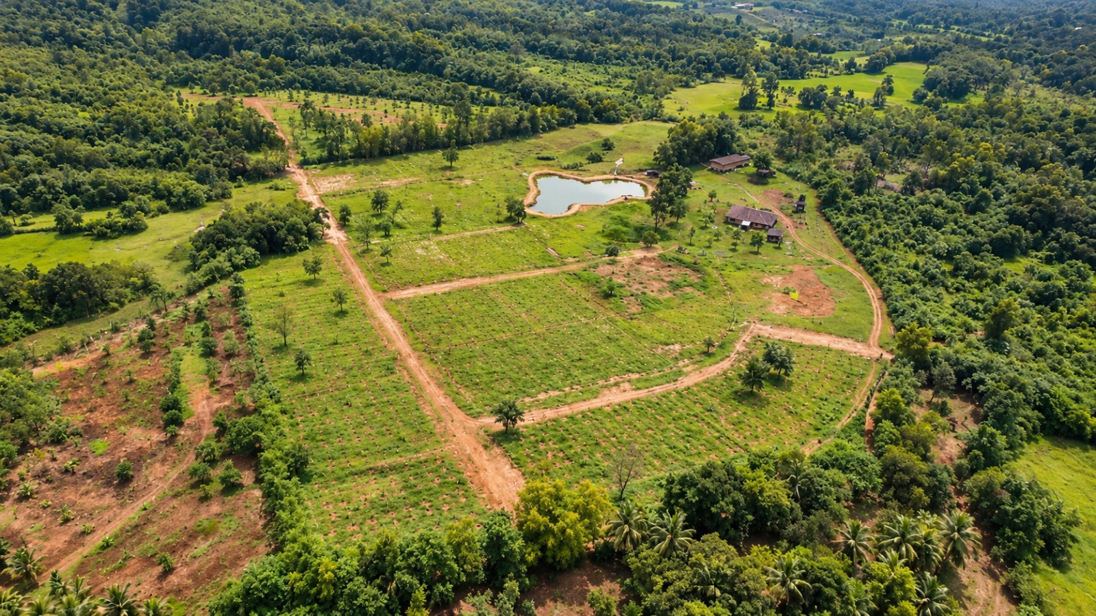Goa to Little Acre