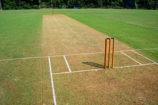 Cricket pitch