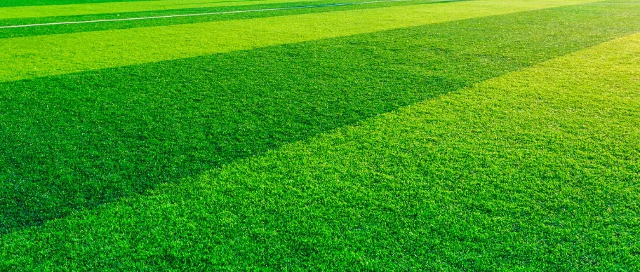 Multi purpose green turf