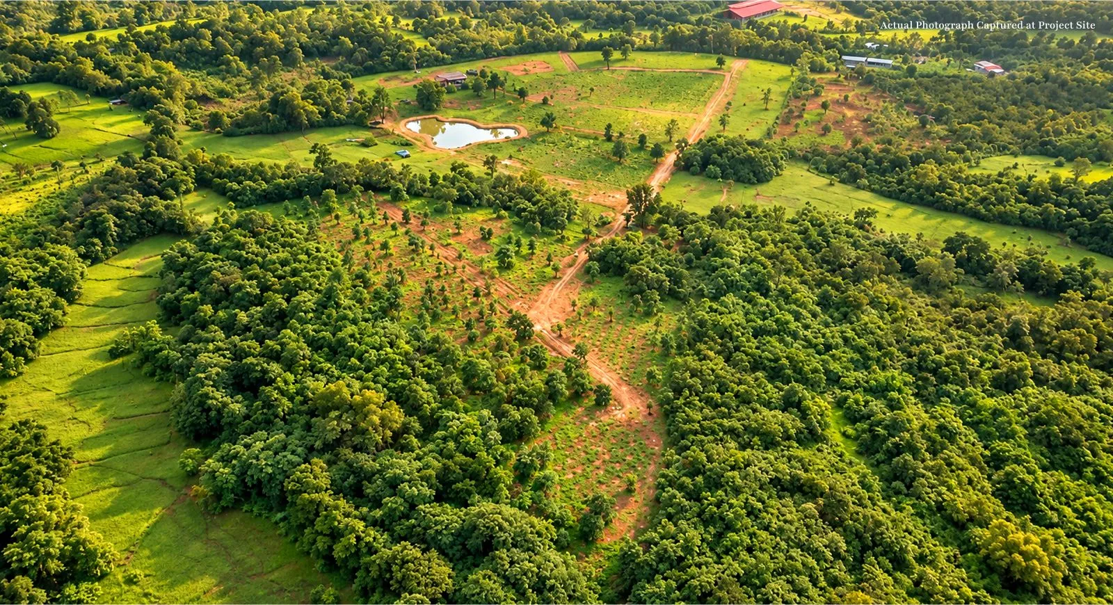 Untouched landscape