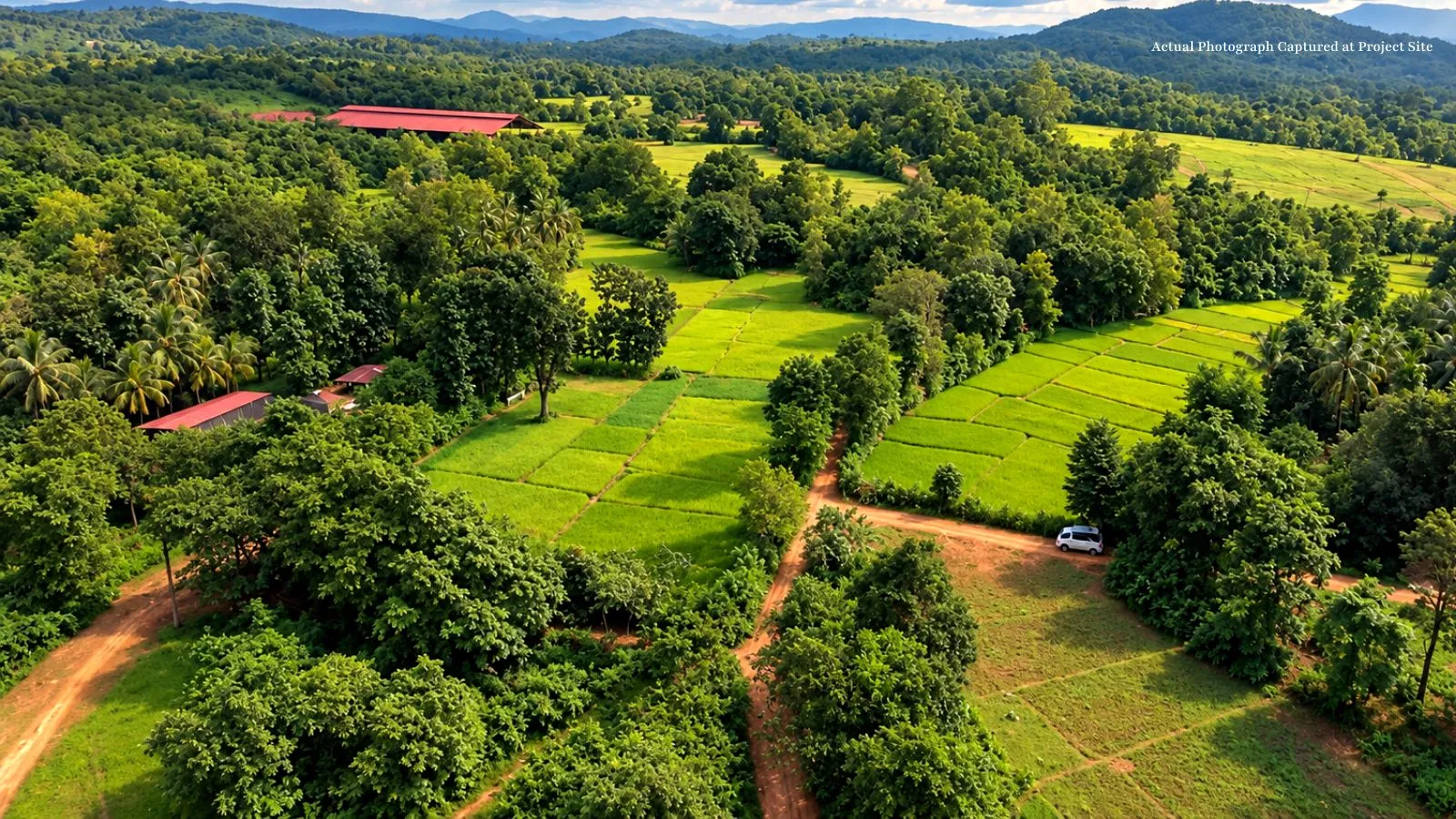 Managed farmland