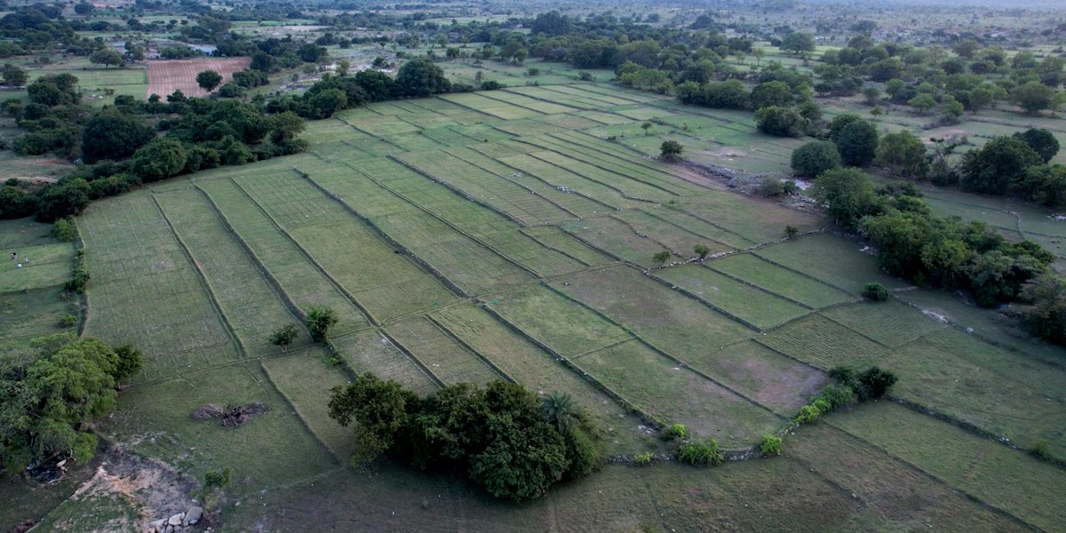 NH-44 Farms gallery 14