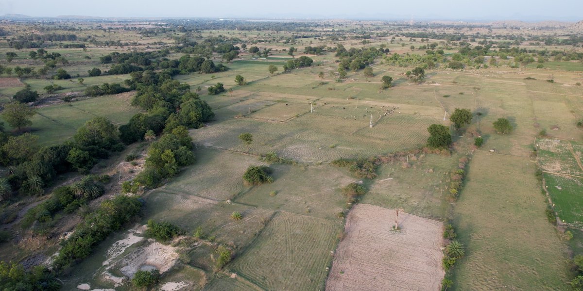 NH-44 Farms gallery 18