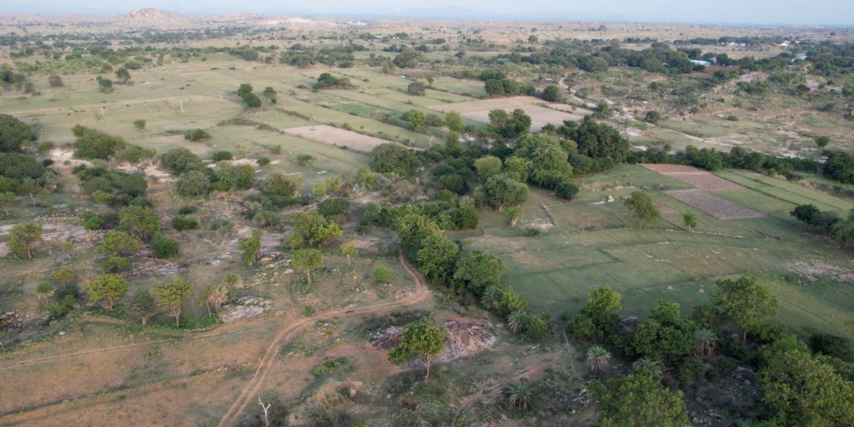 NH-44 Farms gallery 4