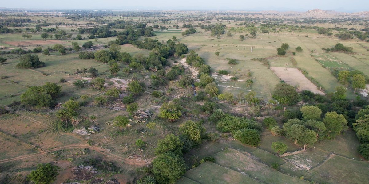 NH-44 Farms gallery 12